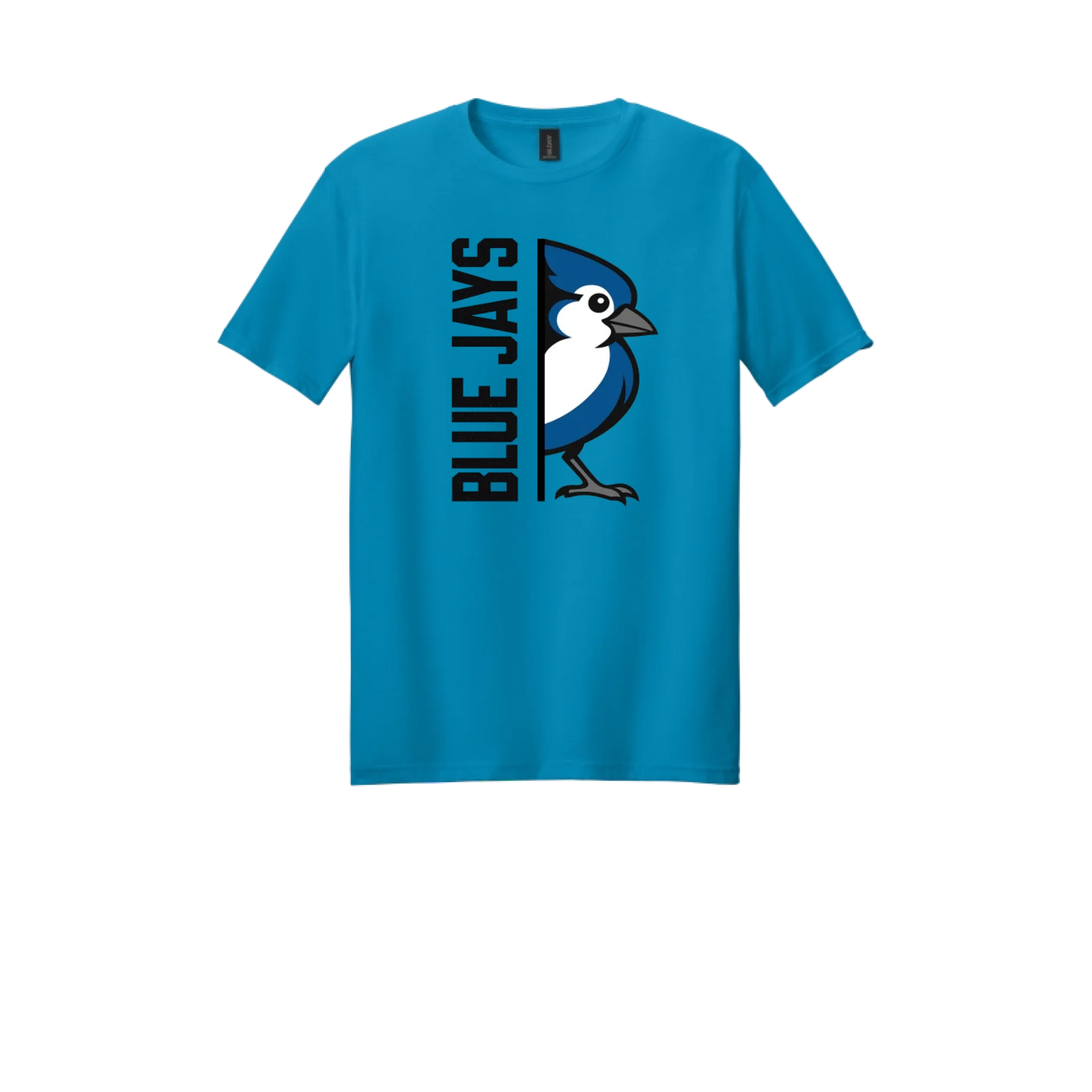 15_t-shirts-Men_64000_Sapphire