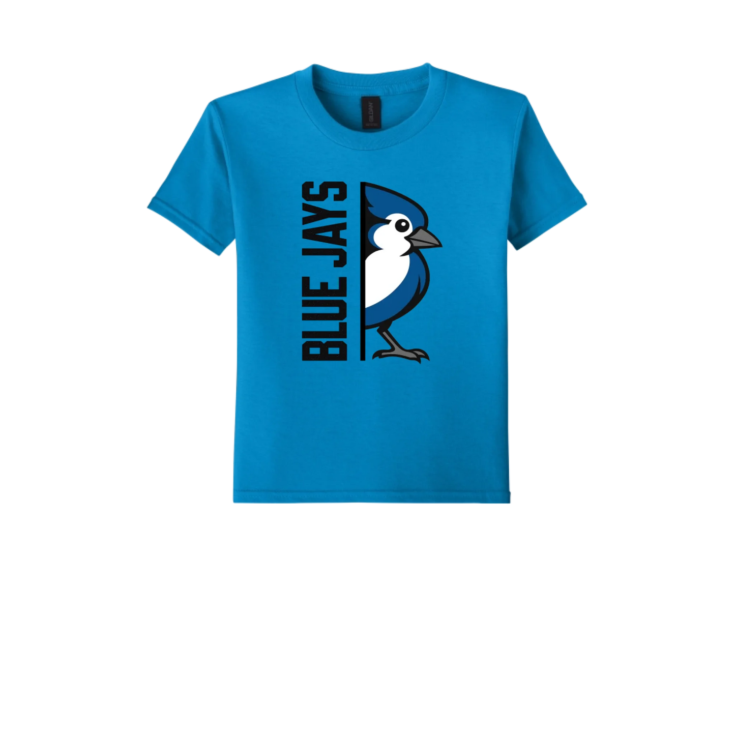 26_t-shirts-Men_64000B_Sapphire