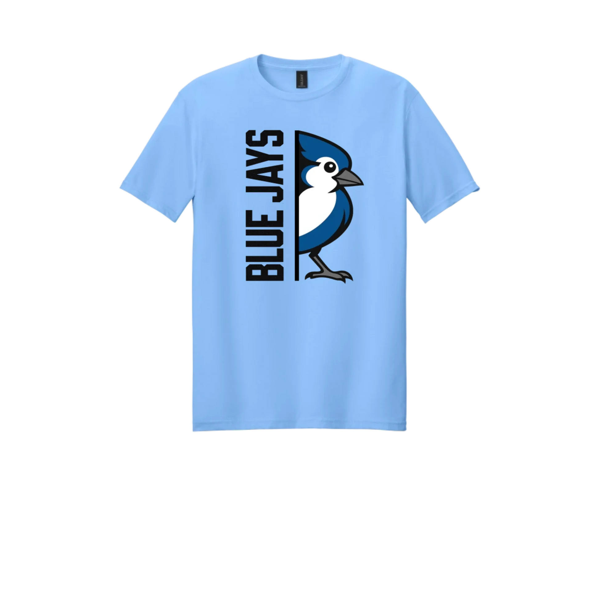 03_t-shirts-Men_64000_Carolina-Blue
